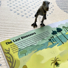 Load image into Gallery viewer, Magnetology: Dinosaurs and Other Prehistoric Creatures - Of Things Wonderful